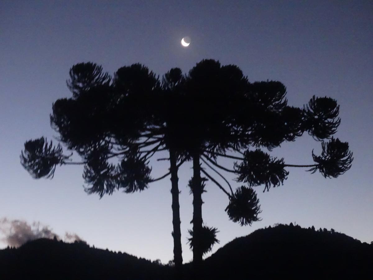 Cantinho Da Simone * Campos do Jordao