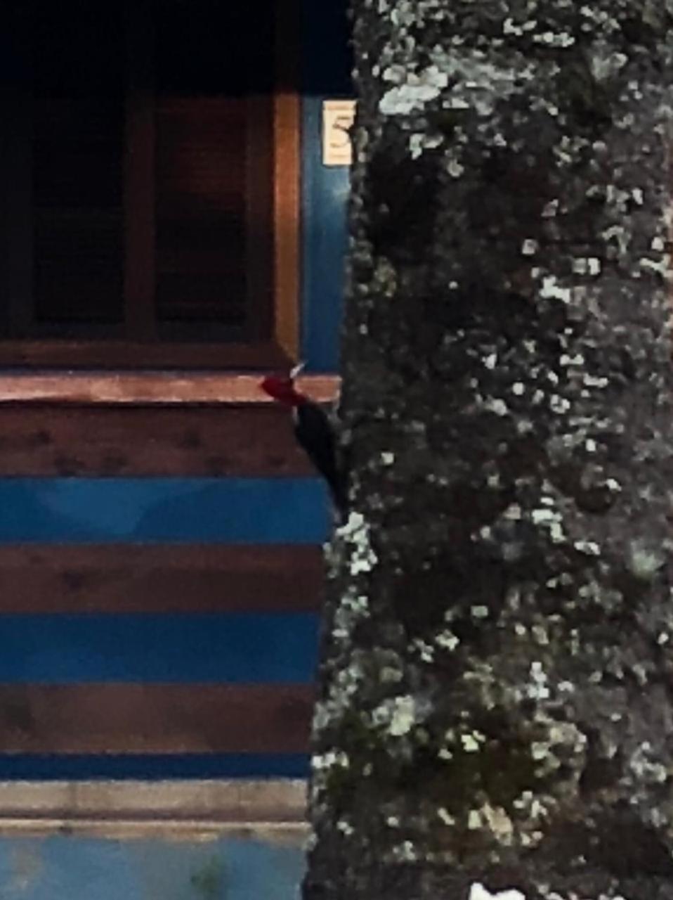 Cantinho Da Simone Chalet *